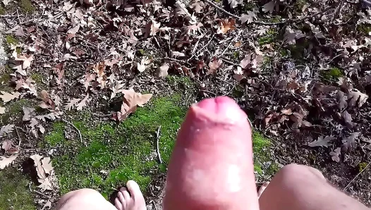 Exhibitionist Handjob Leads to Intense Cumshot in PublicGay Action