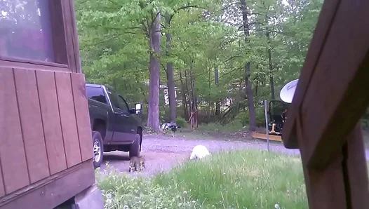 Naked Fun Outside: Trash Day Turns Into Hot PublicGay Action