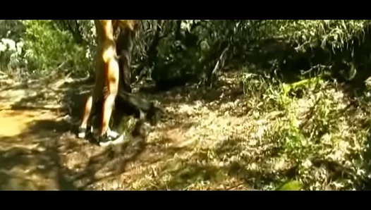 Amateur Gay Solo Boy 18+ Barks and Pumps Outdoors