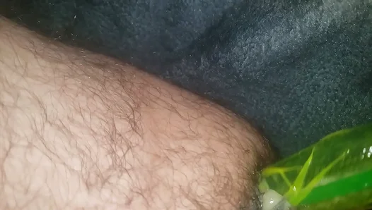 Hairy Gay Amateur Gets Wild With Massive Dildo In Homemade Anal Session