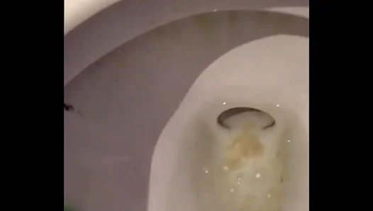 Cum Drips from My Ass as I Enjoy Solo Time in the Toilet