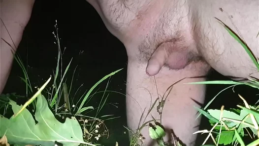 Guys Engage in Steamy Outdoor Piss Adventure at Night