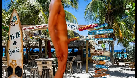 Slim Gay Dude Shows Off His Tropical Cock in Amateur Solo Scene