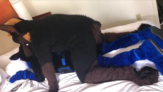 Kairo Murrsuit Gets Fucked In Furry Fetish Doggystyle Delight