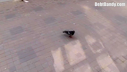 Debt Dandy's Ass Ruined Forever