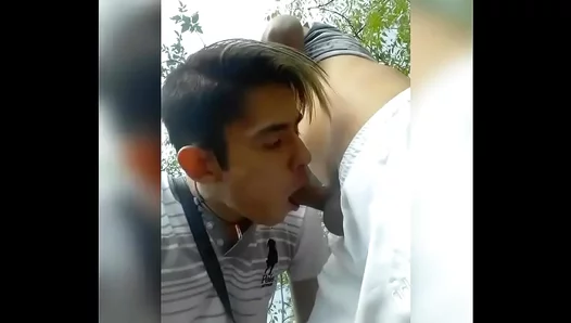 Gay Cruisers Enjoy Forbidden Fun On The Green Way Voyeur Style