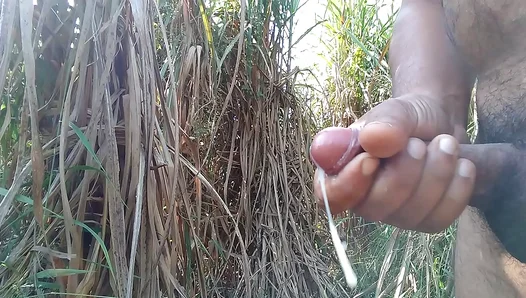 Outdoor Handjob Ends in Sweet Cumshot Amid Sugar Cane Field
