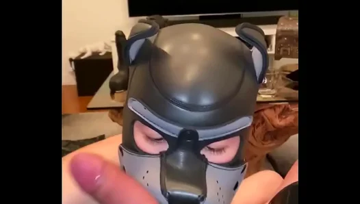 Gay Puppy Play – Latex Fun With Balls in an Amateur Session