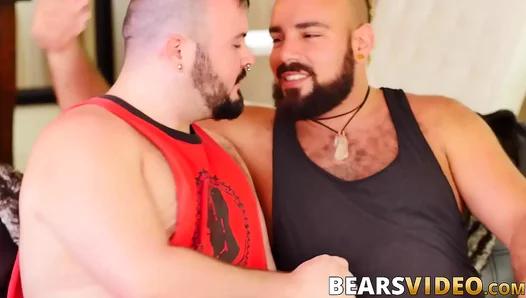 Chubby Bear Rims and Barebacks Fat Lover in HardcoreGay Bliss