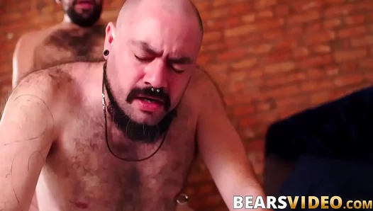 Tony Rivers and Bear Silien Ram Aggressively in Hardcore Gay Action