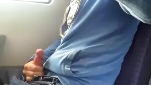 Wanking On The Train – Public Cock Play With Strangers