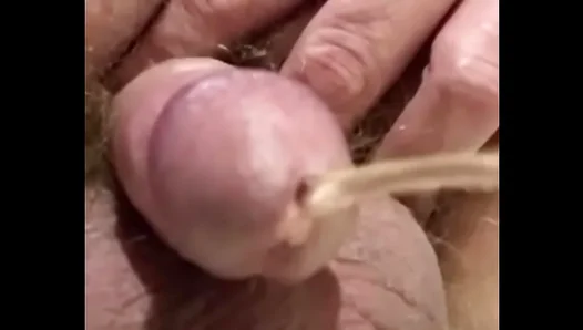 Small Dick POV Pissing Scene – Amateur Guy Takes Control