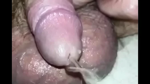 Amateur Small Cock Pissing Compilation – Close-UpGay Action