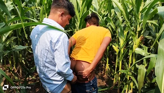 Intimate Moments, College Boy Meets Teacher Amidst Golden Cornfields