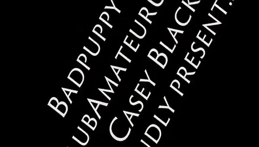 Quinn's Classic Causa Adventure 219