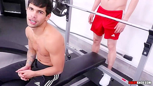 Colby Chambers Worship ~ Intense Gym Anal with Mickey Knox & Ty Mitchell