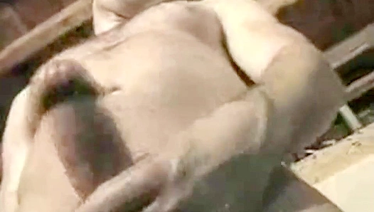 Musclebound Austin Strokes His Massive Dick Post-Workout