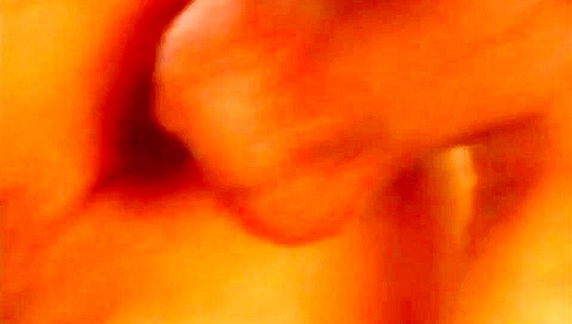 BONUS HUNKS ~ Balkan Beauties Blast Booties Retro Style