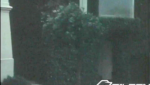 Amateur Skater Boy Bo Masturbates in Vintage Solo Video - Falcon Studios