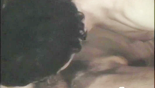 Bob & Horny Dan's Vintage Gay Sex Tape - Falcon Studios