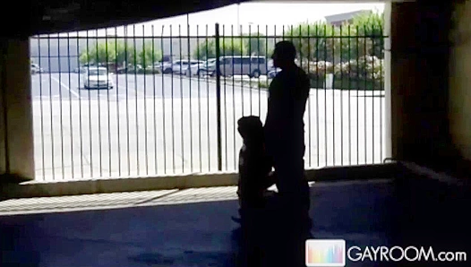 Shadowed Seduction ~ Parking Lot Blowie for Two - Gay XXX