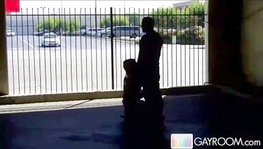 Shadowed Seduction ~ Parking Lot Blowie for Two - Gay XXX