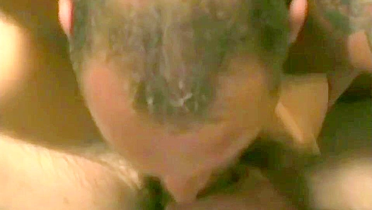 Kinky Cowboys ~ Barnyard Boners & Bonus Hunks