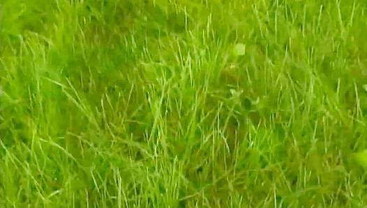 Koroman and Kezman ~ Hard Dick in the Grass