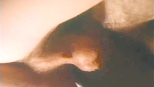 Hairy Hotties Pound Each Other Raw - Falcon Studios