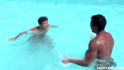 Blazing Hot Latino Lovers ~ Cocky Boys Unleashed