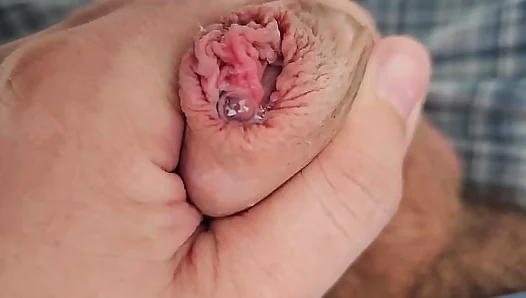 Soft to Wet (RARE PENIS HEAD)