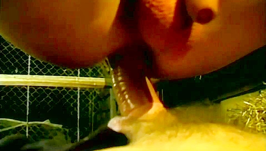 Barn Bash ~ Two Sweaty Brunette Hotties Fuck Hard