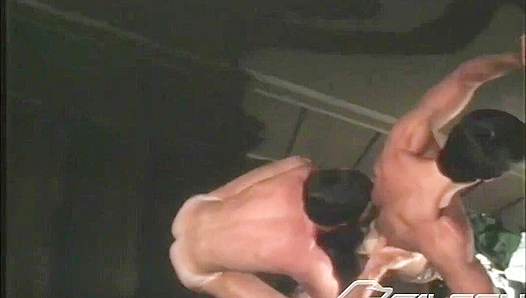 Vintage Vibes ~ Dirk's Falconfest of Forbidden Fun