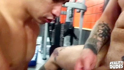Dane Stewart and Zander Cole Get Wild in a Steamy Gym Fuck - Reality Dudes