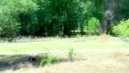 Camping Out ~ Lollipop Twinks Stay In for a Hard 3some Fuck