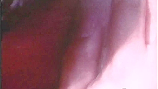 Rugged Vintage Dudes with Attitude Take On Intense Anal Action - Falcon Studios