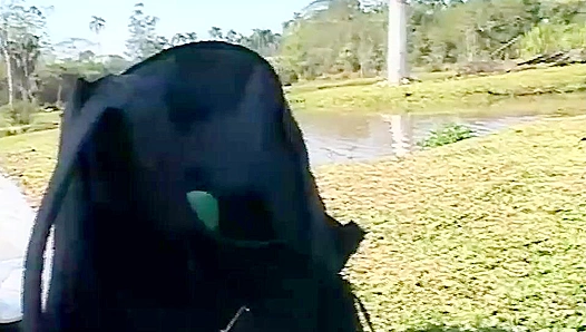 Green Dildo Outdoor Anal Mess ~ Lollipop Twinks Go Wild