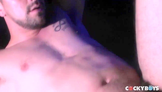 Passion in the Alley ~ Morgan Black & Dominic Sol's Wild Encounter