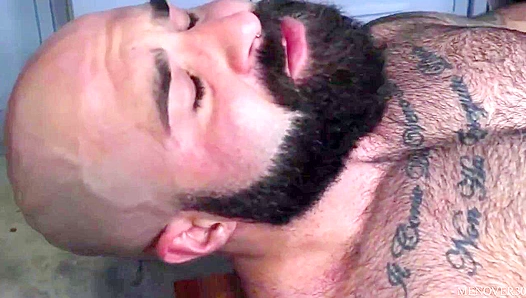 Rugged Bearback ~ Atlas Grant & Musclebear Montreal's Raw Passion - Men Over 30