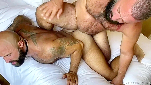Hairy Beefcakes Alex Tikas and Atlas Grant Angle for a Creampie