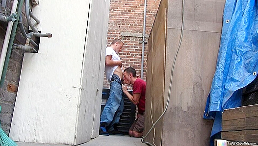 Alex Andrews Dazzles in a Bold Blowjob Scene - Gay XXX