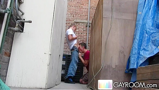 Alex Andrews Dazzles in a Bold Blowjob Scene - Gay XXX